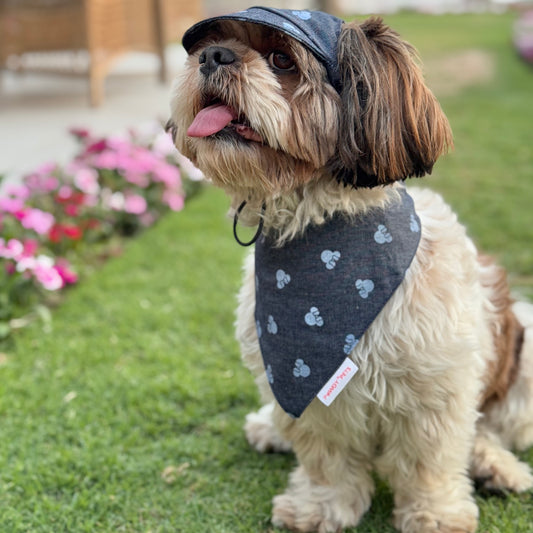 Pawgy Pets Denim Minnie Bandana for Dogs & Cats