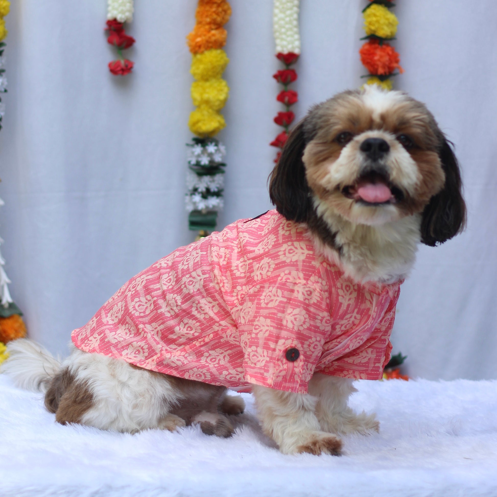 Pawgy Pets Block Print Kurta Peach for Dogs
