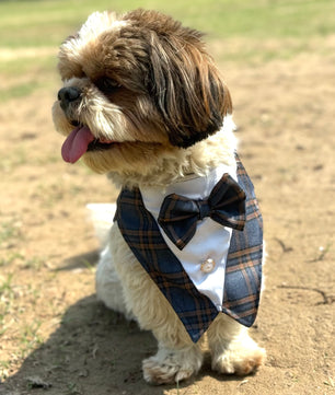 Luxe by Pawgy Pets Navy Blue Check  Bowtie Tuxedo