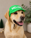 Lime Green Cap | Personalised for Dogs | Pawgy Pets
