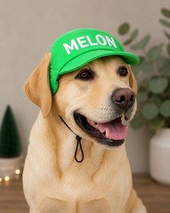Lime Green Cap | Personalised for Dogs | Pawgy Pets