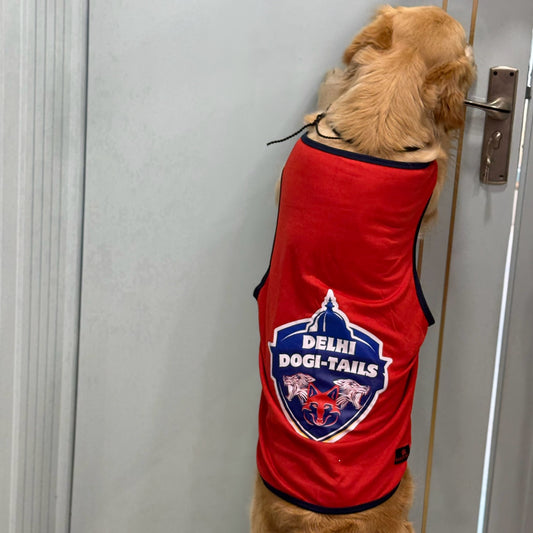 Pawgy Pets Delhi Dogi-Tails T-shirt for Dogs and Cats