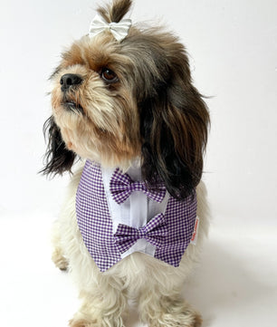 Pawgy Pets Casual Check Bandana: Purple for Dogs & Cats