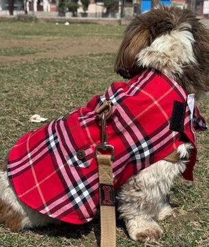 Pawgy Pets Red Check Bowtie Tuxedo