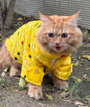 Pawgy Pets Festive shirt Yellow (Cat)