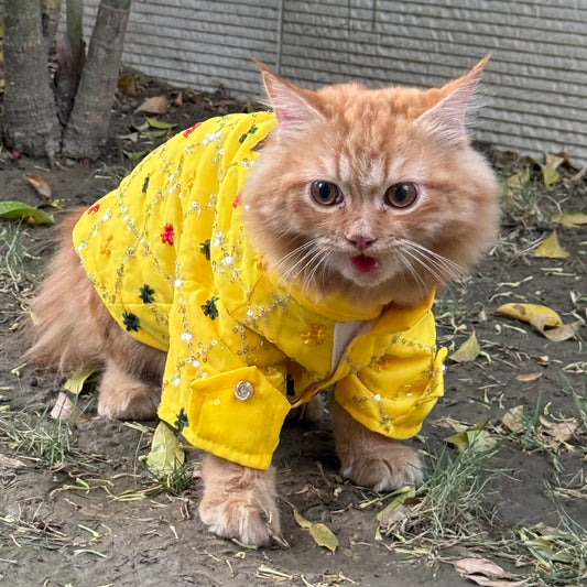 Pawgy Pets Festive shirt Yellow (Cat)