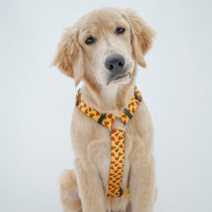 Watermelon Yellow | H-Harness for Dogs and Cats | Pawgy Pets