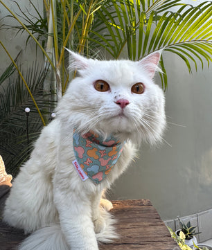 Pawgy Pets Casual Bandana: Mickey Pastel Green for Cats and Dogs