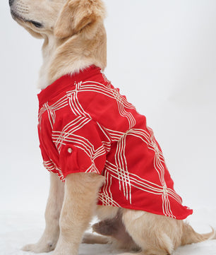 Pawgy Pets Festive Shirt Red Gota for Dogs