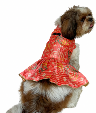 Pawgy Pets Silk Dress peach for Dogs