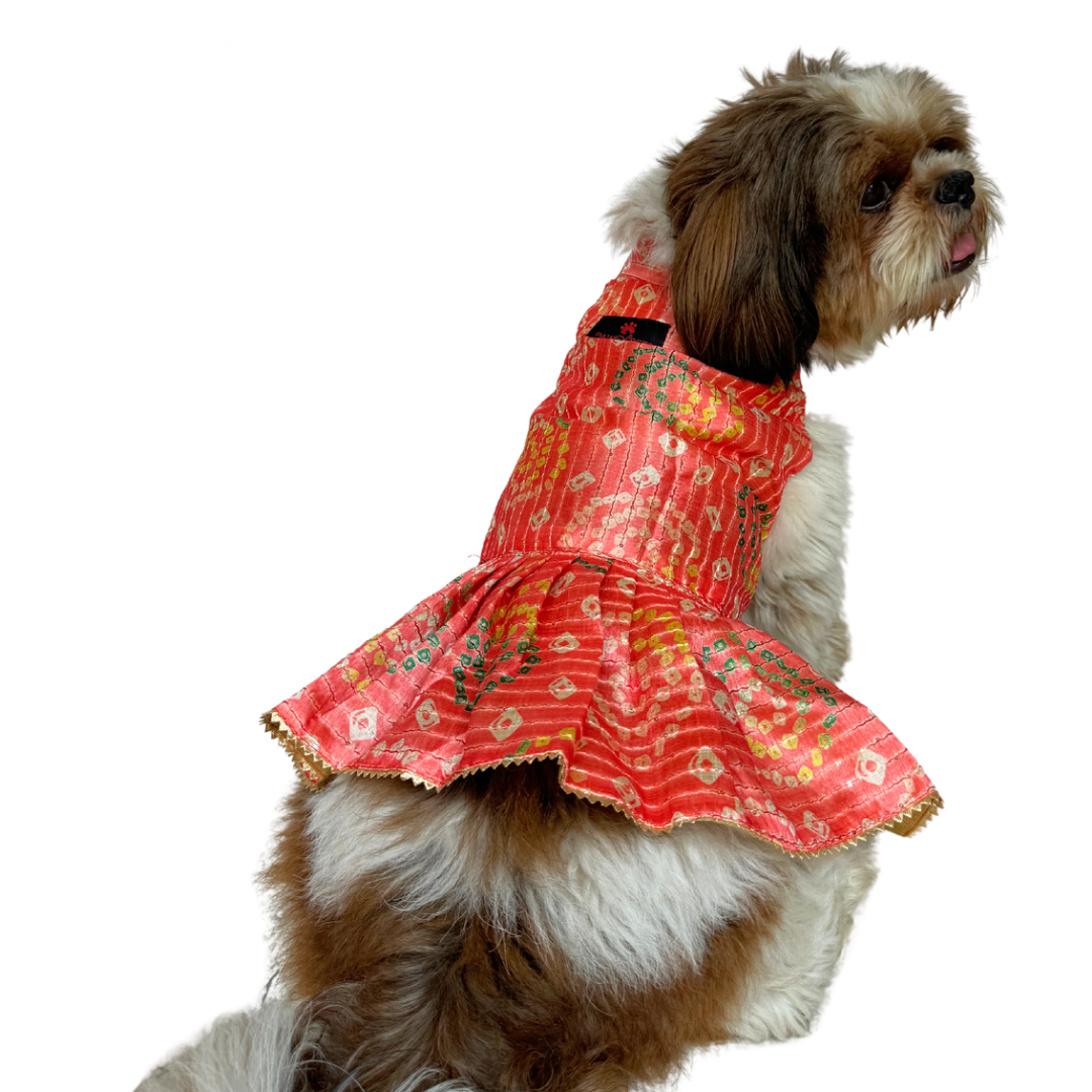 Pawgy Pets Silk Dress peach for Dogs