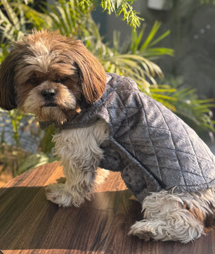 Pawgy Pets  Quilted Jacket (Grey) for Dogs & Cats