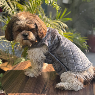 Pawgy Pets  Quilted Jacket (Grey) for Dogs & Cats