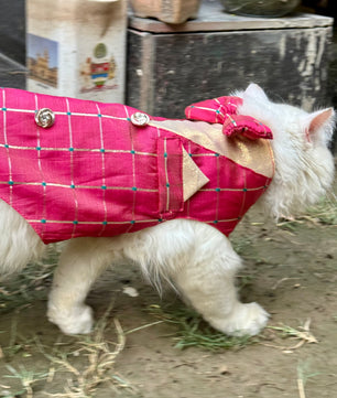 Pawgy Pets Desi Tuxedo Pink (Cat)
