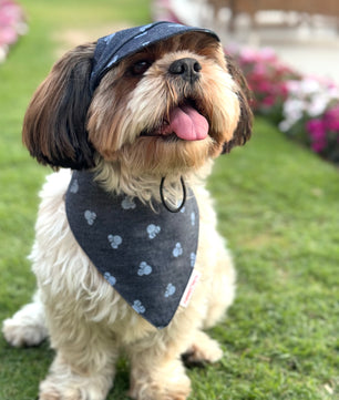 Pawgy Pets Denim Minnie Bandana for Dogs & Cats