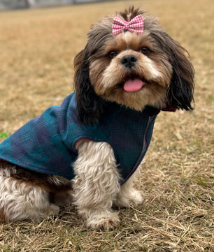 Pawgy Pets Reversible Sando: Plaid with maroon for Dogs & Cats