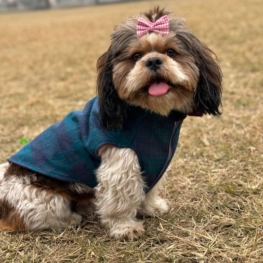 Pawgy Pets Reversible Sando: Plaid with maroon for Dogs & Cats