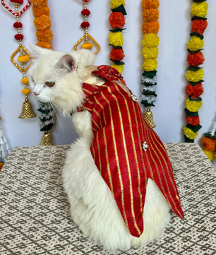 Pawgy Pets Desi Tuxedo Red Gota (Cat)