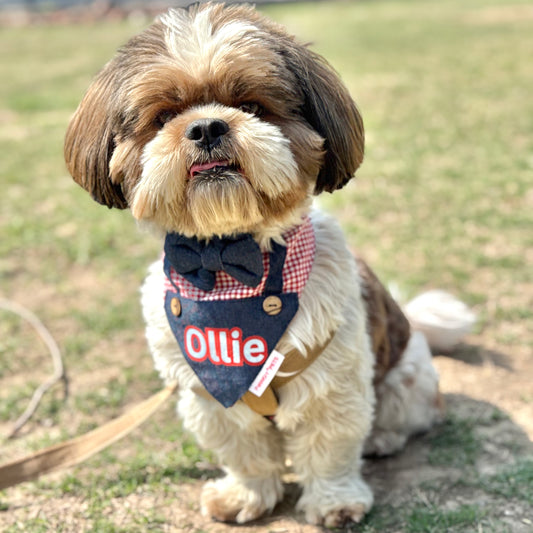 Pawgy Pets Personalised Denim Dungaree Bandana for Dogs & Cat