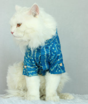 Pawgy Pets Blue Bandani kurta for Cats