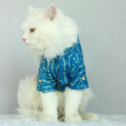 Pawgy Pets Blue Bandani kurta for Cats