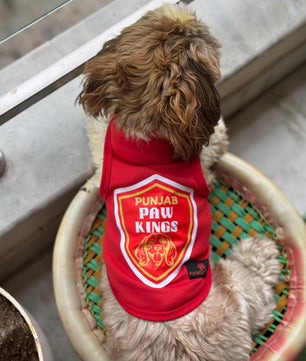 Pawgy Pets Punjab Paw Kings T-shirt for Dogs and Cats