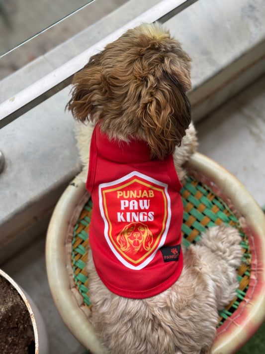 Pawgy Pets Punjab Paw Kings T-shirt for Dogs and Cats