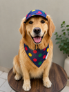 Denim Multi Polka Cap and Bandana Set | For Dogs | Pawgy Pets