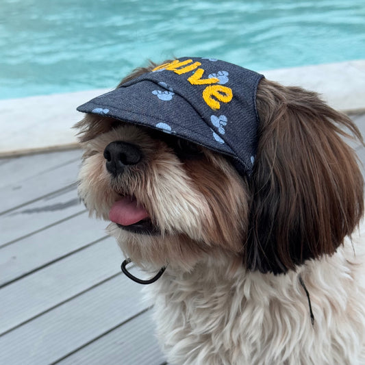 Pawgy Pets Personalised Dog Cap Denim Minnie for Dog & Cats
