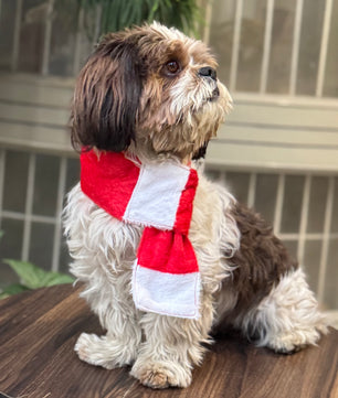 Pawgy Pets Dog Christmas Scarf
