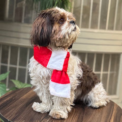 Pawgy Pets Dog Christmas Scarf