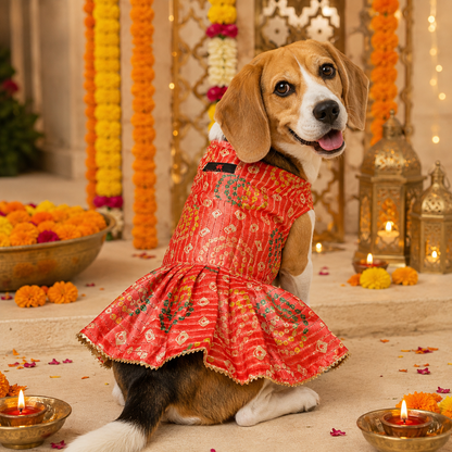 Peach Silk Dress | For Dogs | Pawgy Pets