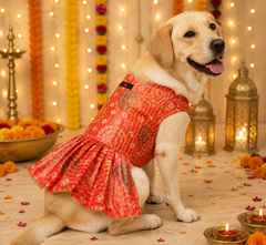 Peach Silk Dress | For Dogs | Pawgy Pets