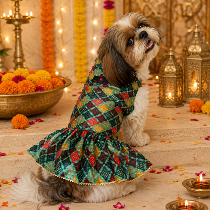 Multi Colour Silk Dress | For Dogs | Pawgy Pets