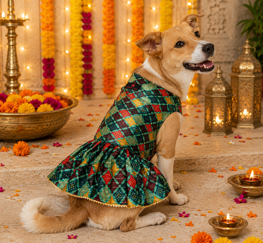 Multi Colour Silk Dress | For Dogs | Pawgy Pets