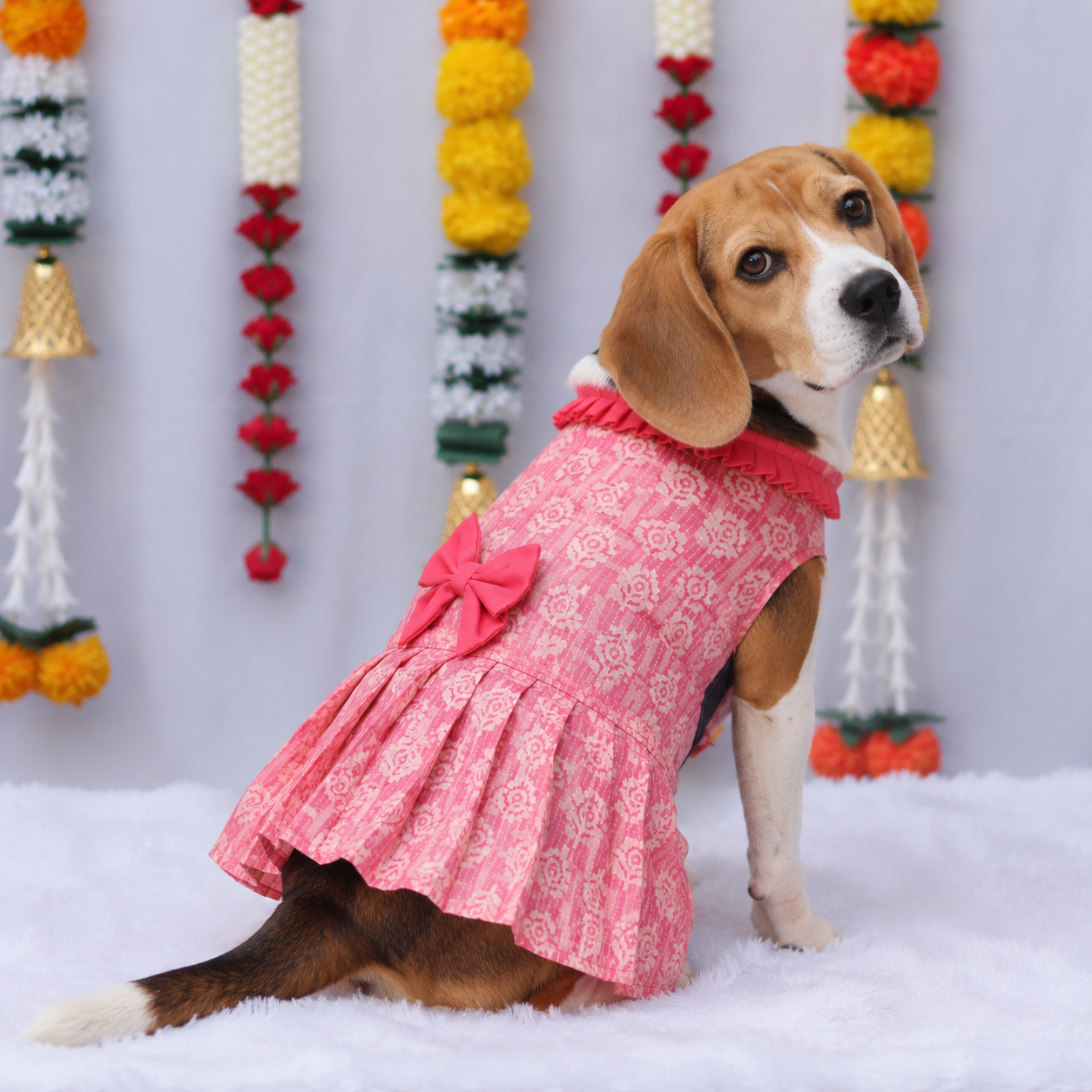 Peach Block Print Dress | For Dogs | Pawgy Pets