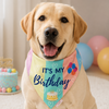 Pawgy Pets Reversible Birthday Bandana for Dogs & Cats