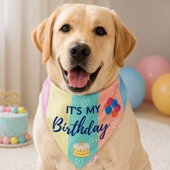 Pawgy Pets Reversible Birthday Bandana for Dogs & Cats