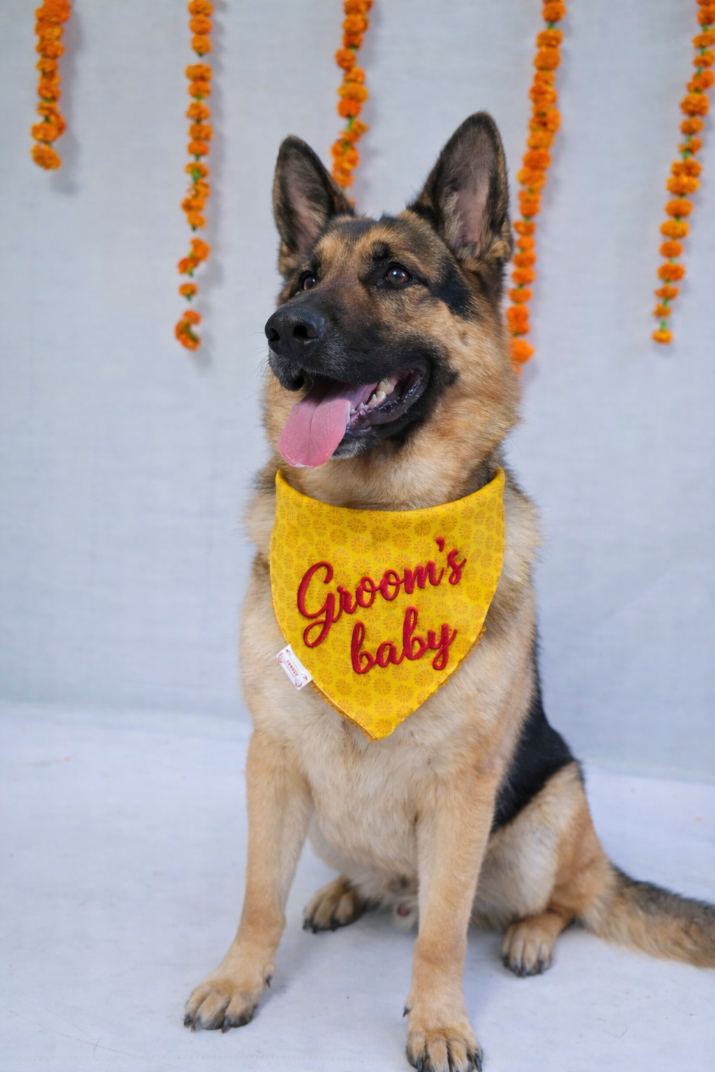 Pawgy Pets Personalised Occasion wear Bandana for Dogs & Cats