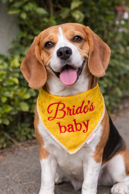 Pawgy Pets Personalised Occasion wear Bandana for Dogs & Cats