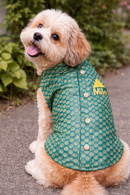 Pawgy Pets Personalised Sherwani for Dogs & Cats