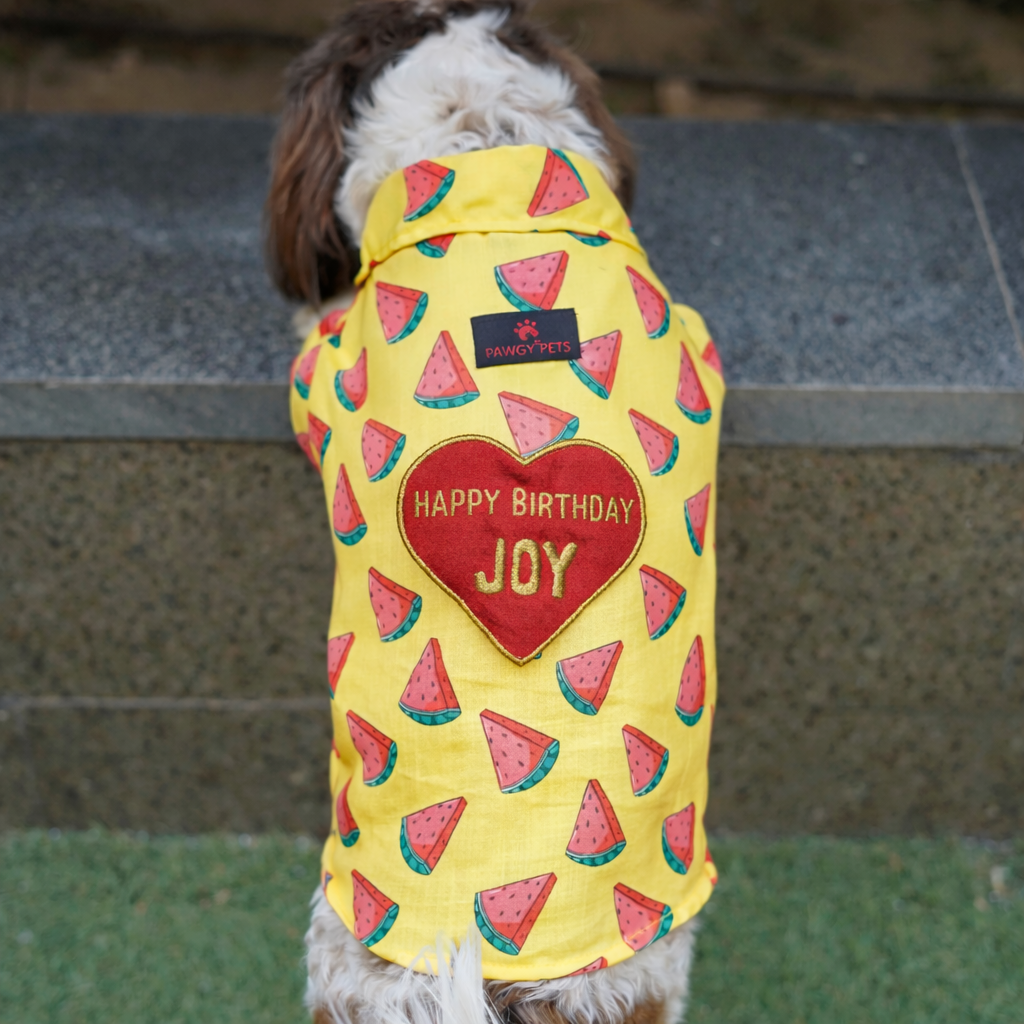 Pawgy Pets Customised Birthday Shirt for Dogs