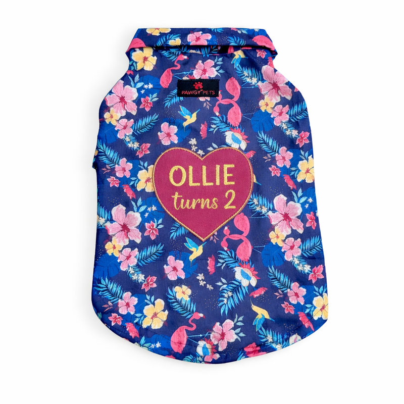clothing