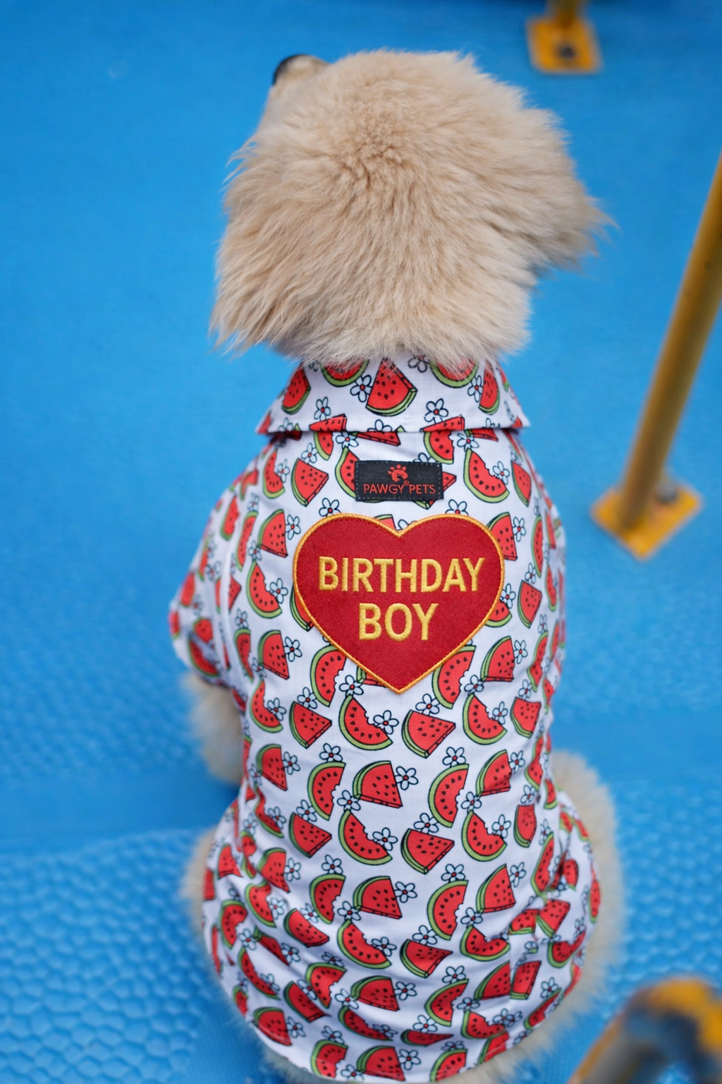 Pawgy Pets Customised Birthday Shirt for Dogs