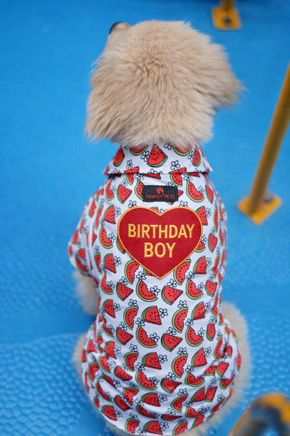 Pawgy Pets Customised Birthday Shirt for Dogs