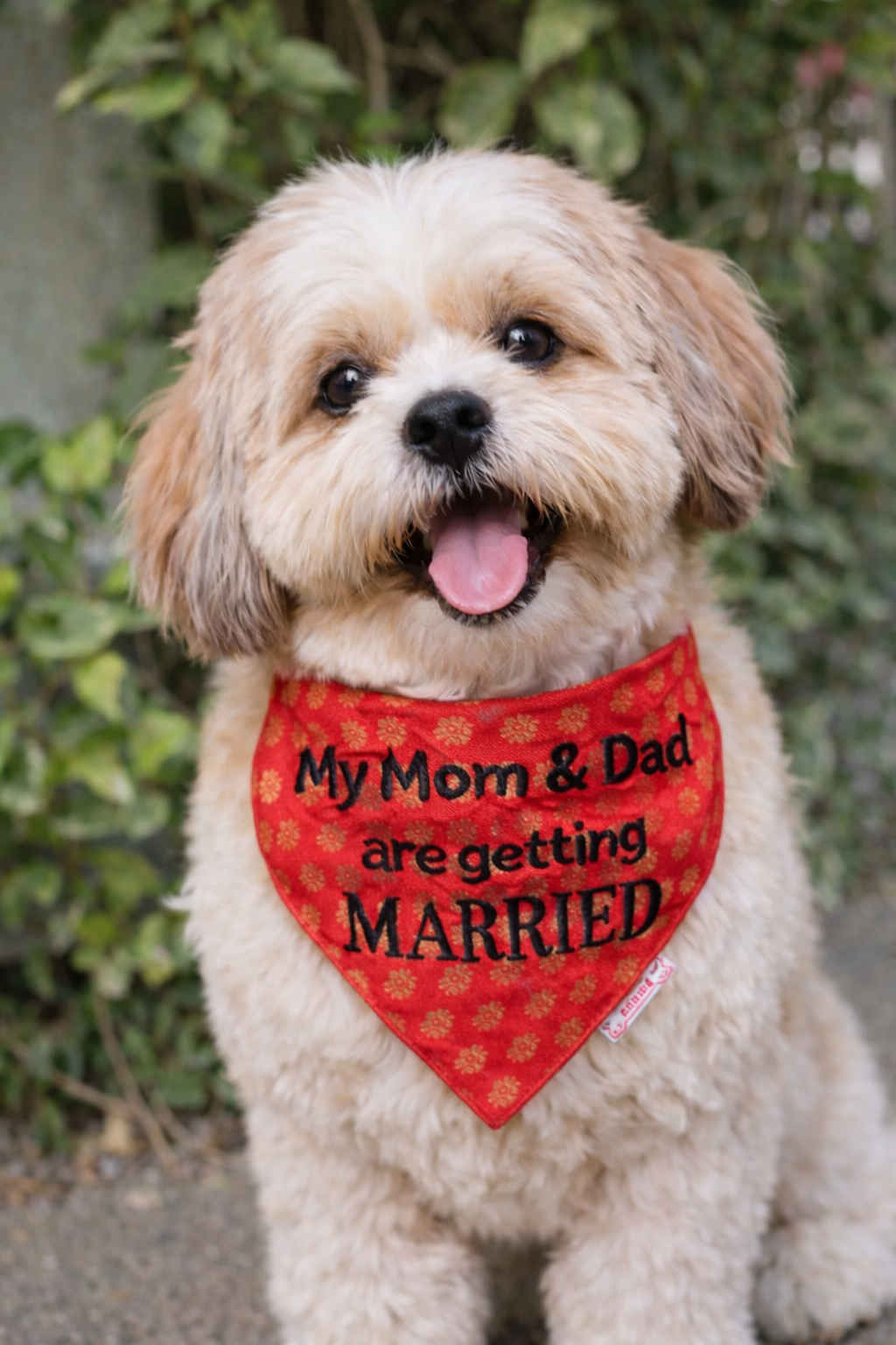 Pawgy Pets Personalised Occasion wear Bandana for Dogs & Cats