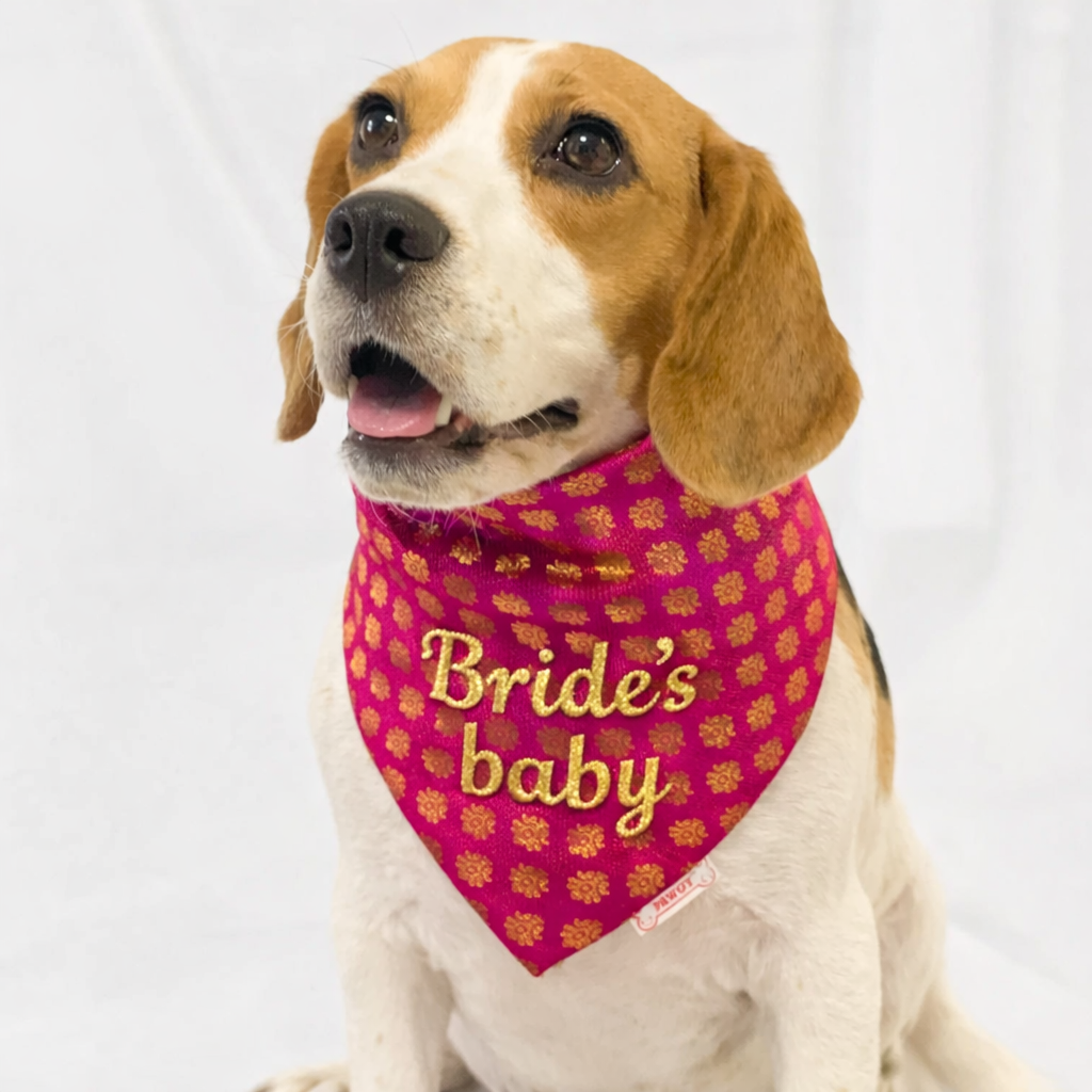 Pawgy Pets Personalised Occasion wear Bandana for Dogs & Cats