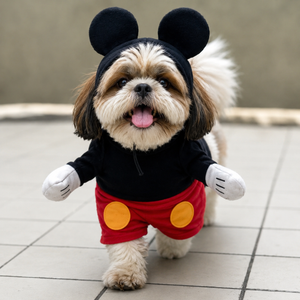 Mickey Mouse | Fun Costume | Pawgy Pets