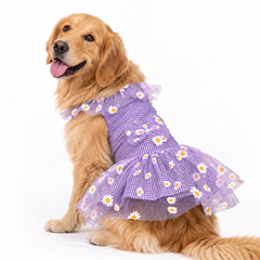 Purple Frilly Check Dress | For Dogs | Pawgy Pets