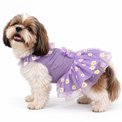 Purple Frilly Check Dress | For Dogs | Pawgy Pets